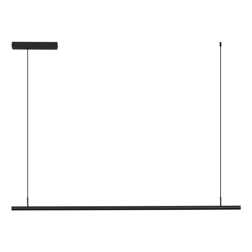 Madoc in Schwarz